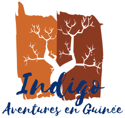 Indigo - Aventures en Guinée